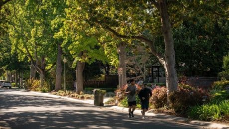 Zuckerberg’s Compound Had Something That Violated City Code: A Private School