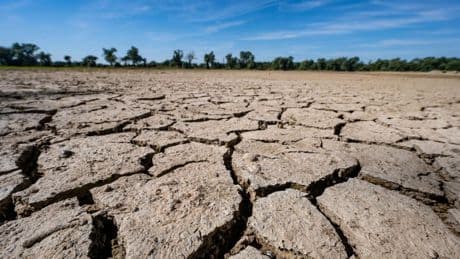 UN-Klimakonferenz in Bonn: Studie: CO2-Budget für 1,5-Grad-Ziel schrumpft rapide