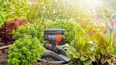 Amazon slashes 40% off 'brilliant' garden sprinkler that keeps gardens watered in summer