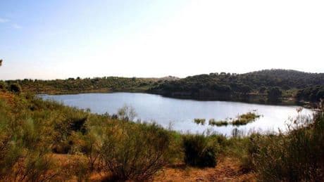 La Laguna Grande de Archidona, en peligro por el cambio climático: al borde de ser un humedal estacional