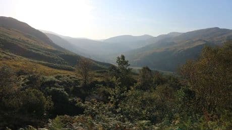 Mixed reaction from politicians to news Galloway will not become national park