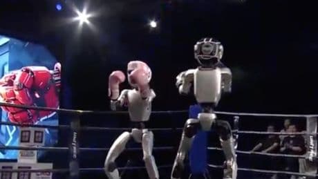 Watch: World’s first humanoid robot kickboxing tournament held in China