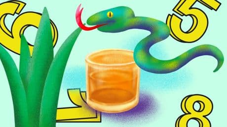 Quiz: Welches Land förderte „Detox Camps“ für Smartphone-süchtige Teenager?