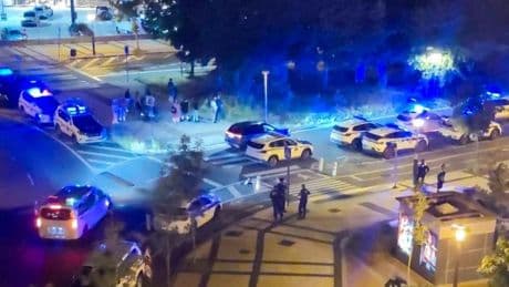 La Policía Local despliega todos sus agentes operativos para frenar una pelea multitudinaria en Vitoria