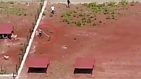 Kars’taki hayvan barınağındaki şiddet: Personel hakkında soruşturma başlatıldı
