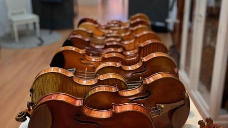 Los violines que suenan en Valencia desde hace un cuarto de siglo