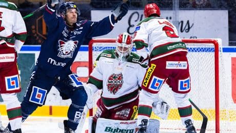 Wie treffsicher ist er noch? - Nächster NHL-Routinier für Dresden