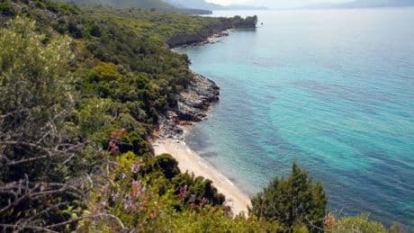 Kuşadası'nda özele devredilen 'Milli Park' tehlike altında: Çevre örgütlerinden yangın riski uyarısı