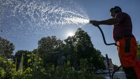 Wetter: Hitzewelle bringt Temperaturen von fast 40 Grad