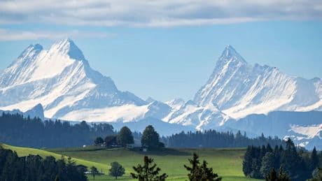 Nouripour bringt EU-Mitgliedschaft der Schweiz ins Gespräch