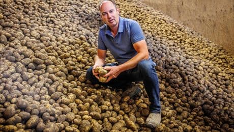 Aardappelprijs stort in door superoogst, maar ’in de supermarkt wordt het niet goedkoper’