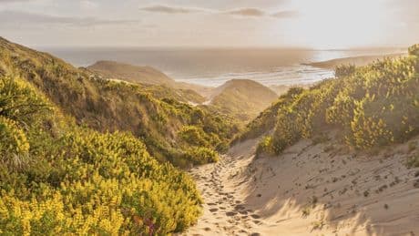 Overtourismus vermeiden: In Neuseeland bucht man den Platz auf dem Wanderweg