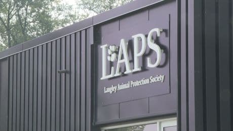 Langley Animal Protection Society told to vacate home of 23 years by township