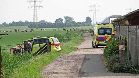 Zoon na dood vader (79) door stier: ’Zijn eigenwijsheid werd hem fataal’