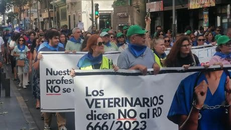 Los veterinarios vuelven a las calles contra el decreto que limita sus atribuciones