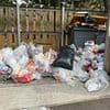 Britain's biggest Army base is 'overrun by rats' due to overflowing bins and fly-tipping - with even burnt-out cars sitting abandoned behind its gates, soldiers claim