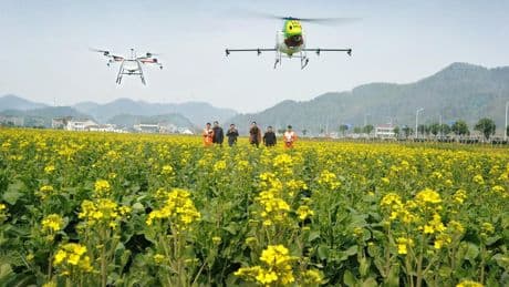 Pesticides : Comment les épandages par drones ont été réautorisés en France malgré les alertes pour la santé et l’environnement