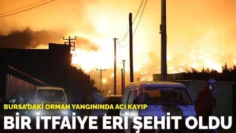 Bursa’daki orman yangınında acı kayıp: Bir itfaiye eri şehit oldu