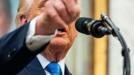 C.E.O.s Are Trying to Avoid Trump’s Ire as Tariffs Hit Their Businesses