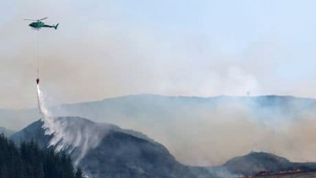 Schottland: So hinterlässt ein Waldbrand die Isle of Bute