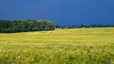 Wetter: Wechselhafter Start ins Wochenende in Berlin und Brandenburg