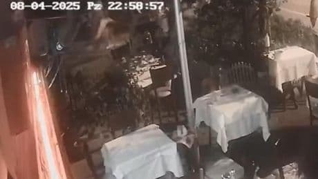 Beyoğlu'nda kediye şiddet uygulayan kişiyi silahla yaraladı