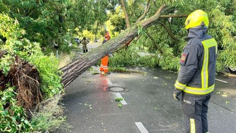 Unwetter: Zwei Schwerverletzte nach Unwetter - fast 600 Einsätze