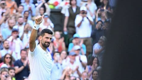 Wimbledon 2025: Novak Djokovic reaches semi-finals again after overcoming fall to down Flavio Cobolli