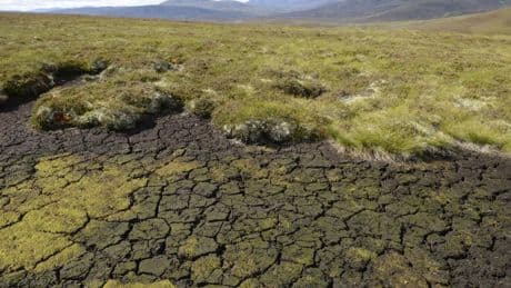 Water scarcity alert issued for more rivers amid low rainfall