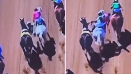 Insane moment falling jockey clambers onto a rival horse in the middle of a race at Saratoga