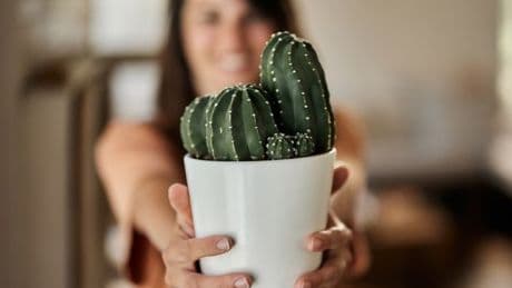 'My neighbour demands I stop using my own wifi - it’s distracting her plants'