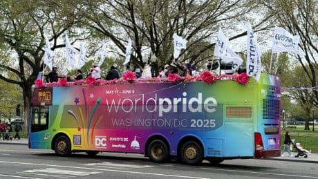 LGBTQ: LGBTQ in Zeiten von Trump - Worldpride in Washington