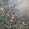 La déforestation en Amazonie brésilienne s'est accélérée au cours des 10 derniers mois