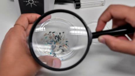 Common vegetable extract found to remove most microplastics from water