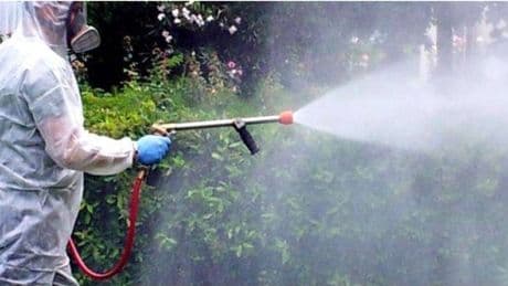 West Nile, l'Italia il Paese europeo più colpito: 80% dei casi e 274 infezioni registrate
