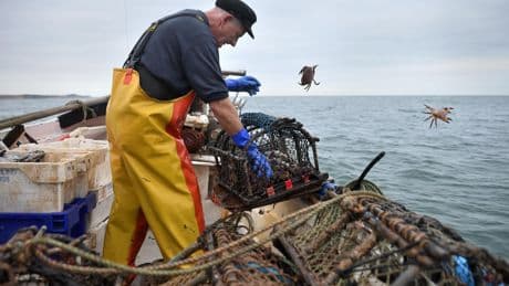 Tory and SNP anger as Starmer extends EU fishing rights to 2038 in Brexit deal reset