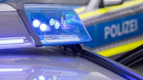 An Ostern: Tatort Schule: Fische in Aquarien getötet, Geld gestohlen