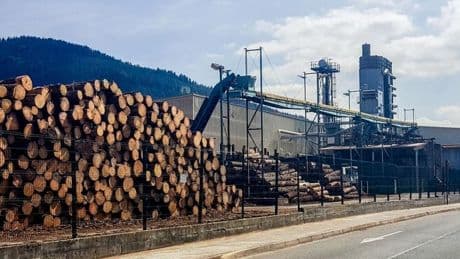 Maderas de Llodio plantea el despido de 39 de sus 151 trabajadores