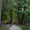 De eigen wetten van park De Hoge Veluwe, een omheind ‘Gelders dwergstaatje’
