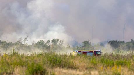 Feuer: Waldbrand in Gohrischheide - Löscharbeiten auch in Nacht