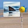 Zwemmers spotten haaienvin in Noordzee, net over Belgische grens: strand Bray-Dunes even ontruimd
