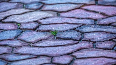 'Magic' solution to remove weeds from your patio 'in minutes' is free