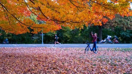 Farmer’s Almanac predicts when to expect peak fall foliage across the US