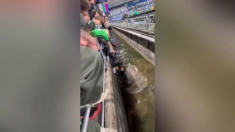 Diese Aktion geht komplett schief - Trottel-Fan aus Stadion-Graben gerettet