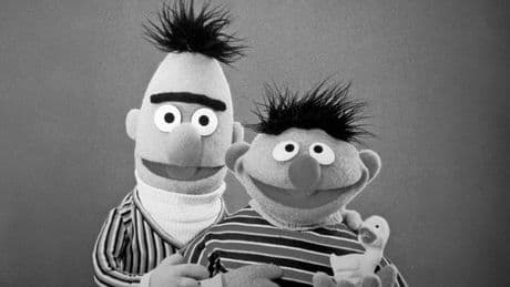 Ernie und Bert: "Ein Leben ohne Bert wäre möglich, aber sinnlos"
