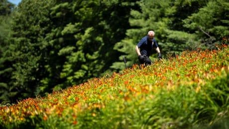 Father accused of drowning daughter pleads not guilty in New York court