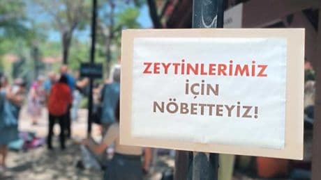 Köylülerin Ankara'daki "zeytin nöbeti"nin son günü: "Mücadelemiz ormanlarda devam edecek"