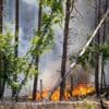 Waldbrände in Brandenburg: Wie gut sind die Feuerwehren vorbereitet?