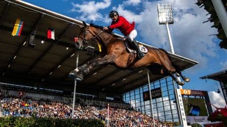 Pferdesport: CHIO Aachen und Scientist Circle - Wie geht es Sportpferden beim Turnier?
