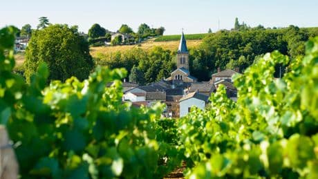 Vins de Bourgogne : ces 11 villages méconnus qui explosent sur le marché, à des prix étonnamment bas